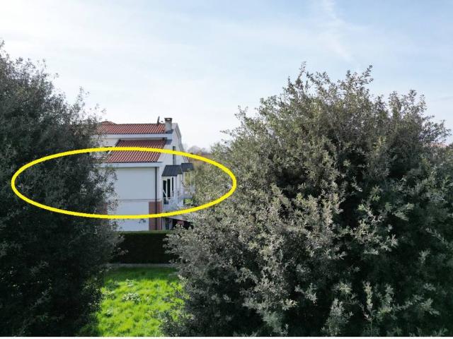 Appartamento in affitto a Saonara PD