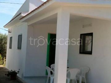 Appartamento in affitto a San Vito dei Normanni sp30, arredato, giardino privato TrovaCasa