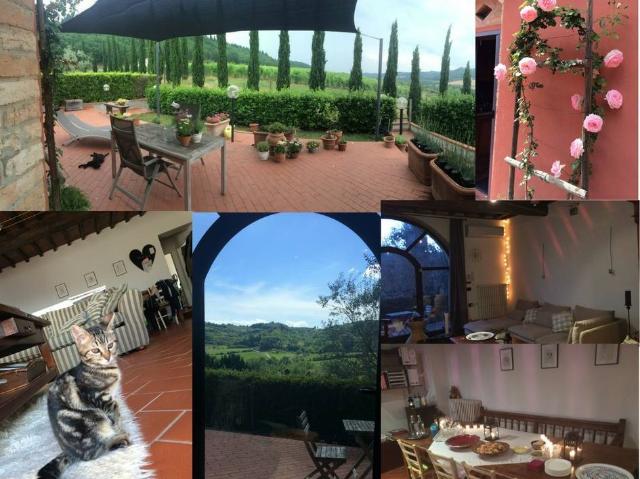 Appartamento in affitto a San Casciano in Val di Pesa FI