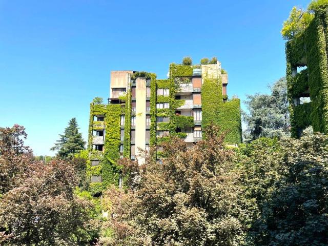 Appartamento in affitto a San Donato Milanese MI
