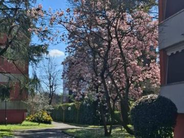 Appartamento in affitto a San Donato Milanese via Pascoli, 28, arredato, giardino, riscaldamento autonomo TrovaCasa