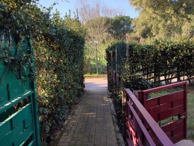 Appartamento in affitto a San Felice Circeo via Mediana Vecchia, 23, non arredato/vuoto, giardino, box TrovaCasa