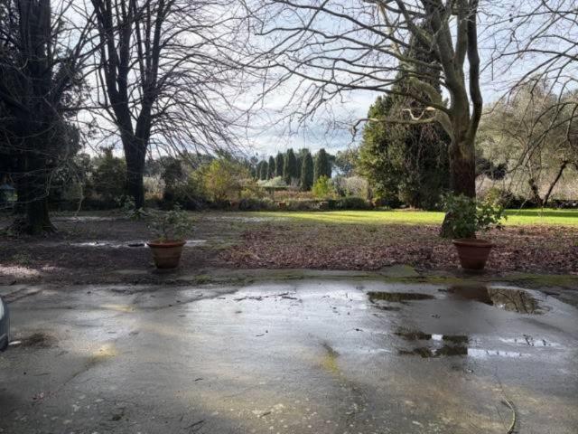 Appartamento in affitto a San Giuliano Terme via Edmondo De Amicis, arredato, giardino, caminetto TrovaCasa