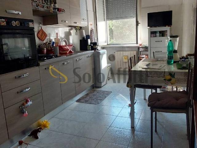 Appartamento in affitto a San Giuliano Milanese MI