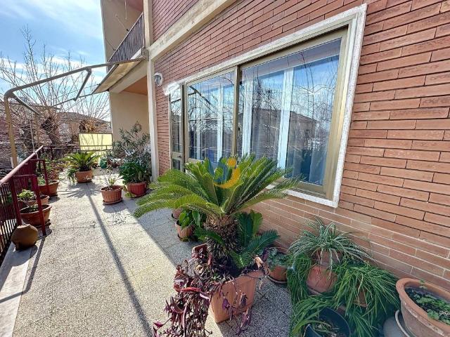 Appartamento in affitto a Santa Marinella RM