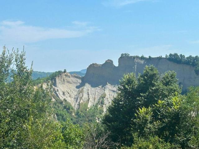 Appartamento in affitto a Sasso Marconi via Pieve del Pino, 6, arredato, giardino privato, riscaldamento autonomo TrovaCasa
