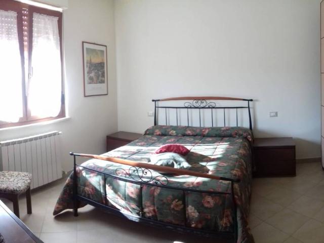 Appartamento in affitto a Sarzana SP