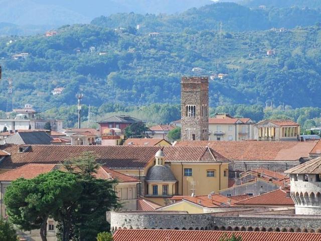 Appartamento in affitto a Sarzana SP