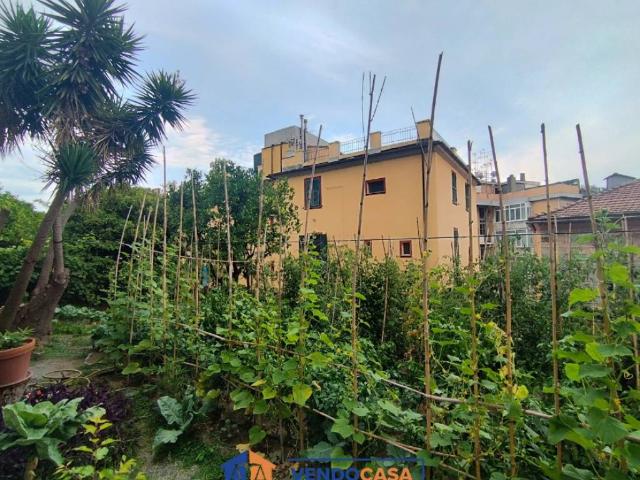 Appartamento in affitto a Savona SV