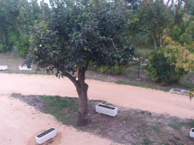 Appartamento in affitto a Savignano sul Rubicone via Montilgallo, arredato, giardino, posto auto coperto TrovaCasa