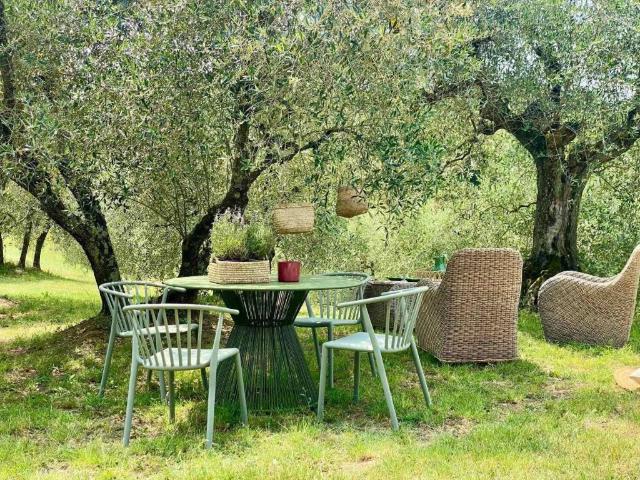 Appartamento in affitto a Scandicci FI