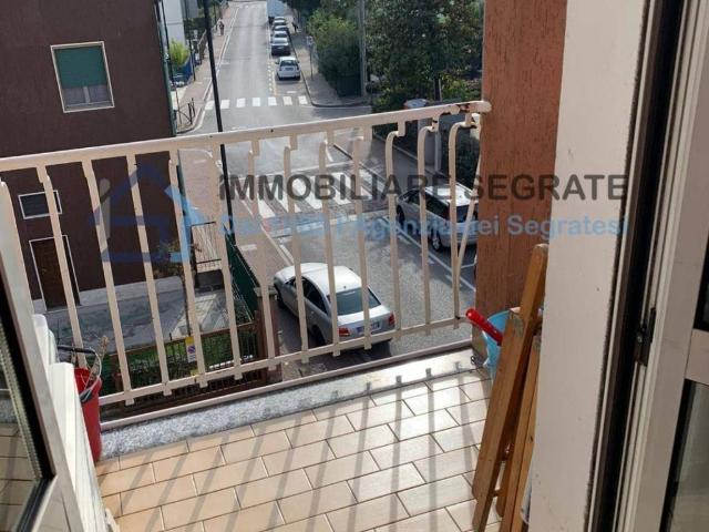 Appartamento in affitto a Segrate MI