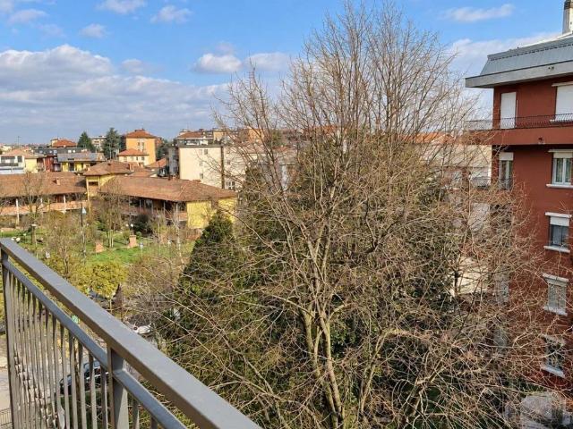 Appartamento in affitto a Segrate MI