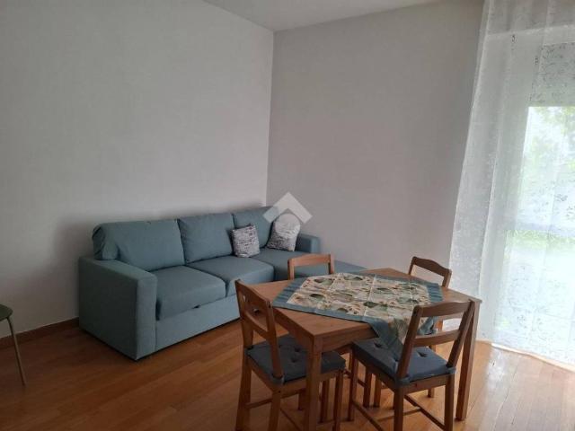 Appartamento in affitto a Segrate MI
