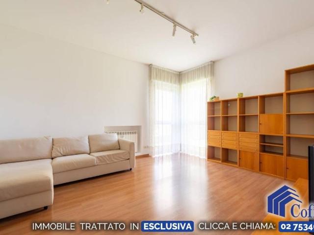 Appartamento in affitto a Segrate MI