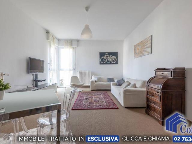 Appartamento in affitto a Segrate MI
