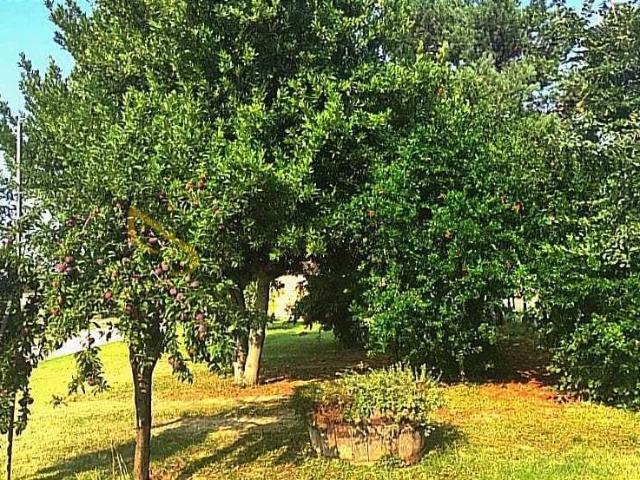 Appartamento in affitto a Senigallia AN