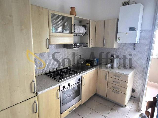 Appartamento in affitto a Senigallia AN