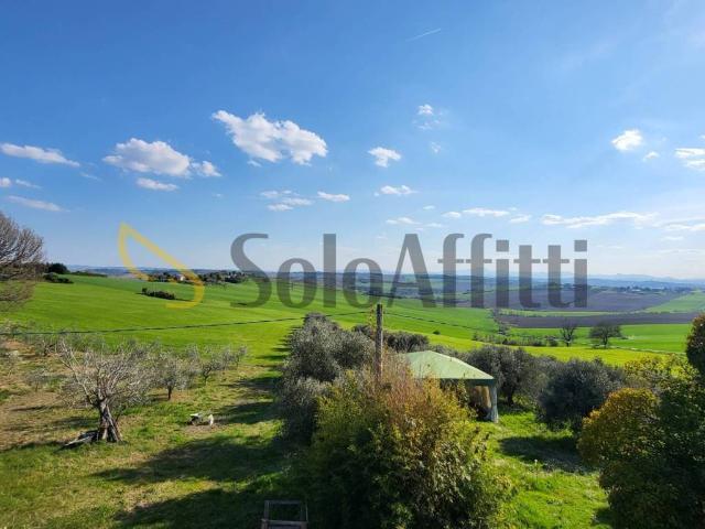 Appartamento in affitto a Senigallia AN