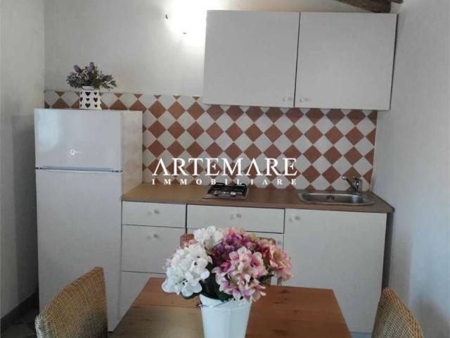 Appartamento in affitto a Seravezza via Forni, arredato, giardino privato, vista mare TrovaCasa