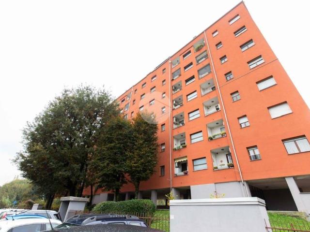 Appartamento in affitto a Settimo Milanese MI