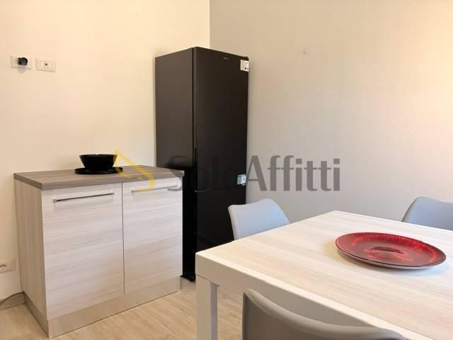 Appartamento in affitto a Siena strada del Villino, arredato, terrazzo, ingresso indipendente TrovaCasa