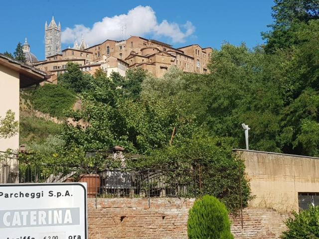 Appartamento in affitto a Siena SI