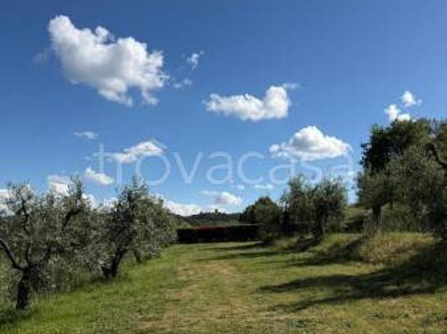 Appartamento in affitto a Siena siena, parzialmente arredato, travi a vista, panoramica TrovaCasa