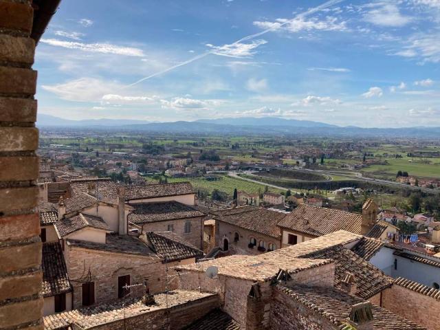 Appartamento in affitto a Spello PG