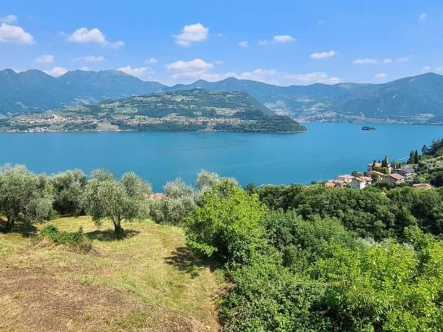 Appartamento in affitto a Tavernola Bergamasca BG