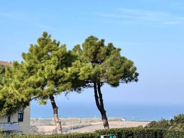 Appartamento in affitto a Termoli CB