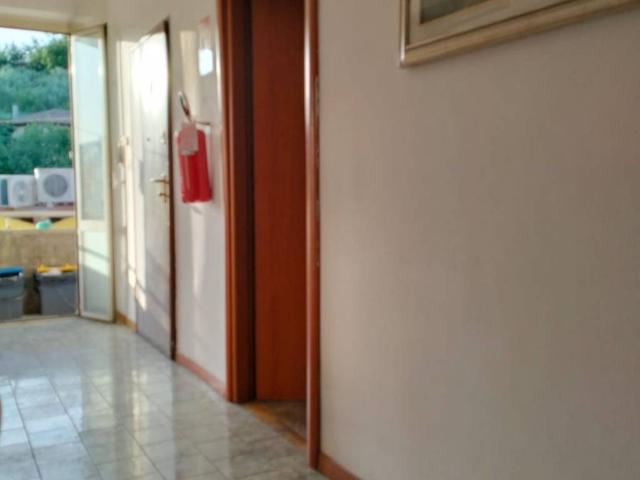 Appartamento in affitto a Terni TR