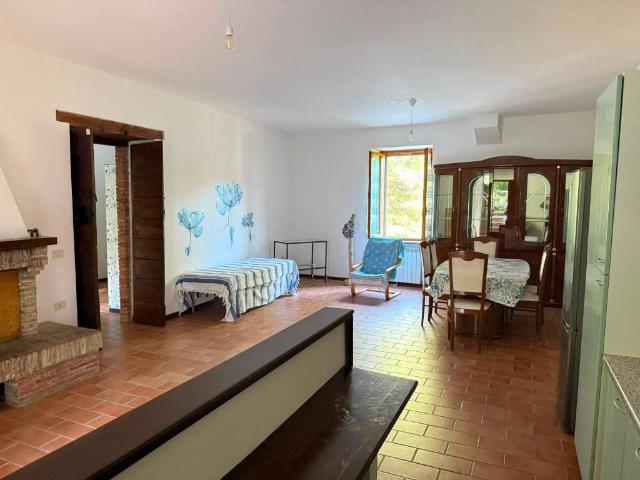 Appartamento in affitto a Terni TR