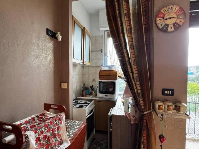 Appartamento in affitto a Torino TO