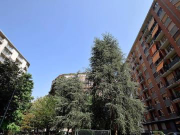 Appartamento in affitto a Torino TO
