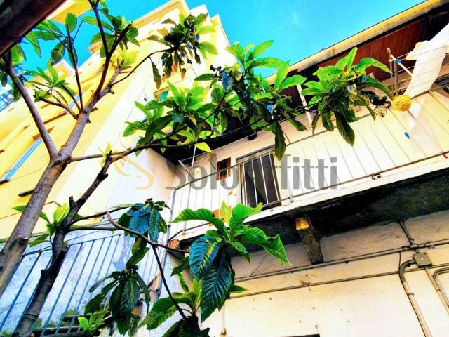 Appartamento in affitto a Torino TO