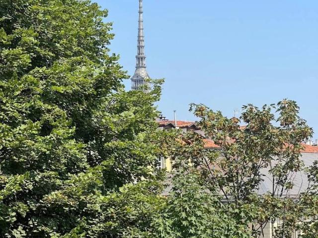 Appartamento in affitto a Torino TO