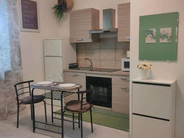 Appartamento in affitto a Torino TO