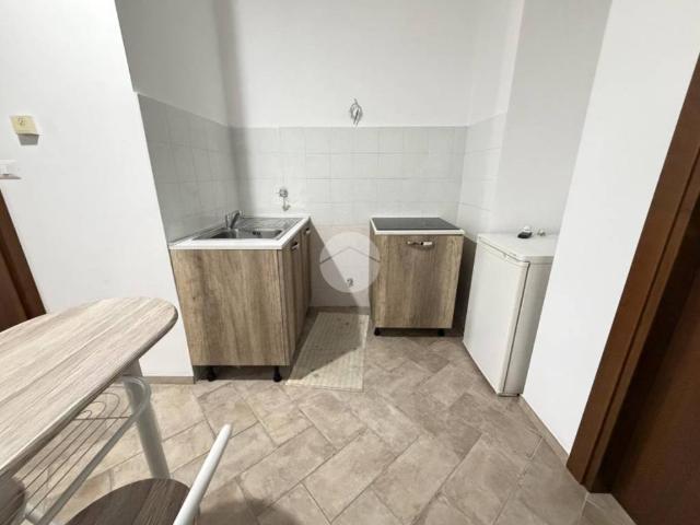 Appartamento in affitto a Torino TO