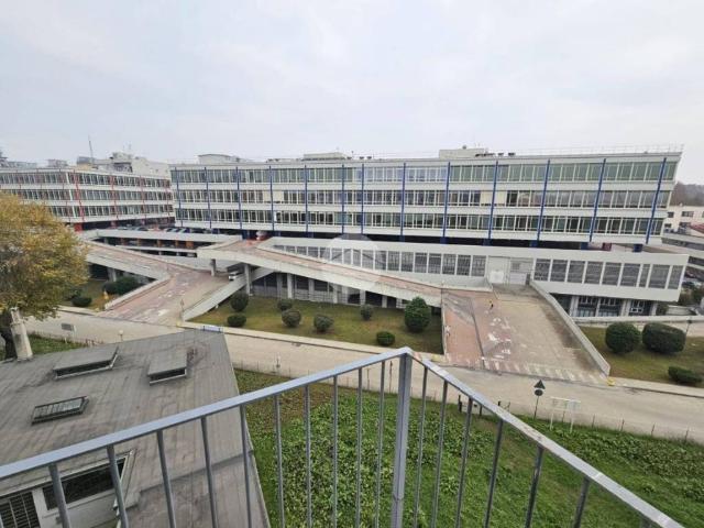 Appartamento in affitto a Torino TO