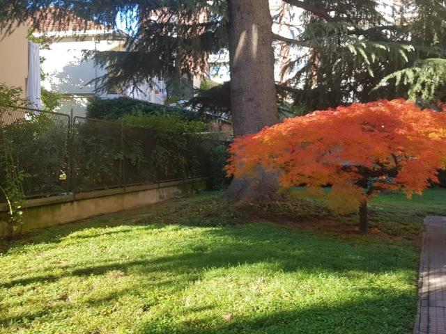 Appartamento in affitto a Torino TO
