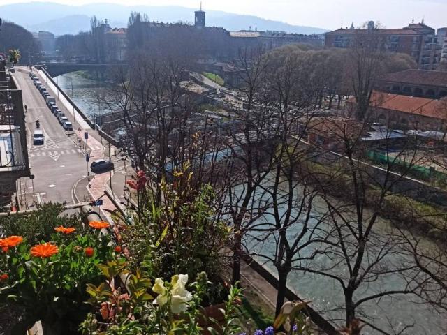 Appartamento in affitto a Torino TO