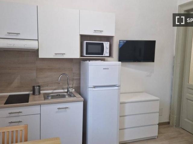 Appartamento in affitto a Torino TO