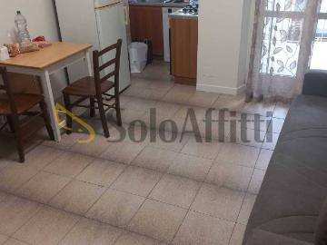 Appartamento in affitto a Torino TO