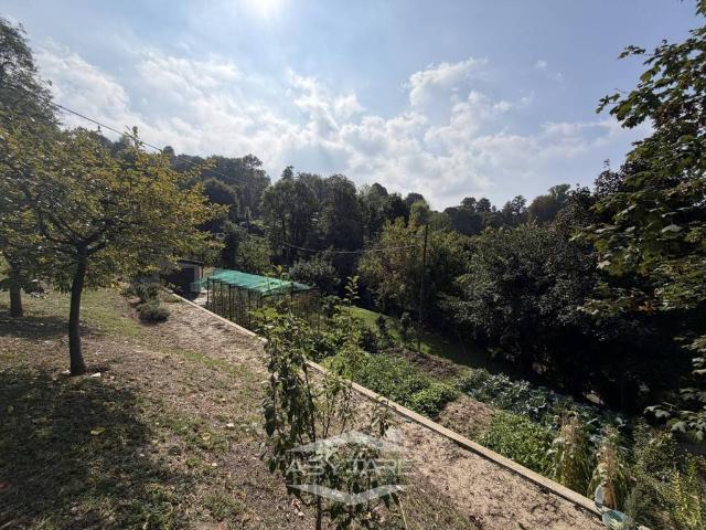 Appartamento in affitto a Torino TO