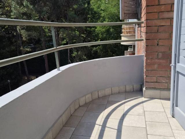 Appartamento in affitto a Torino TO