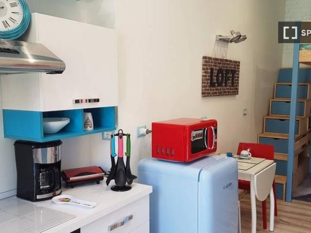 Appartamento in affitto a Torino TO