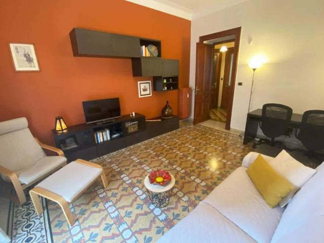 Appartamento in affitto a Torino TO