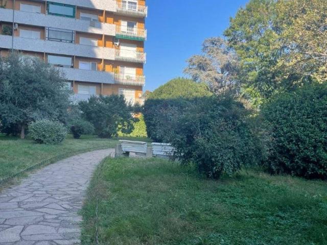 Appartamento in affitto a Torino TO