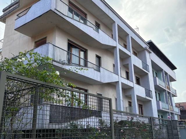 Appartamento in affitto a Torino TO